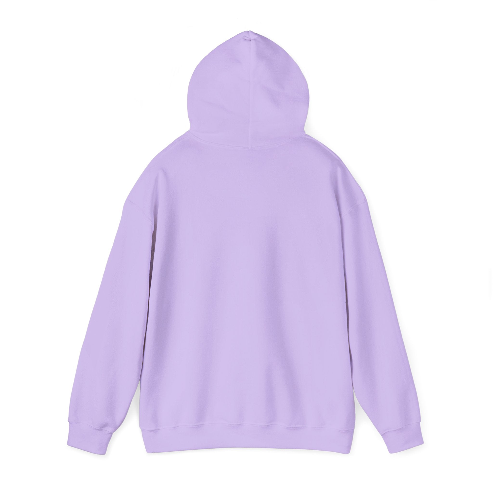 💕🦋 Baby Girl Heavy Blend Hoodie 🦋💕